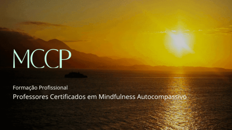 MCCP 2026 - Teaser site 3